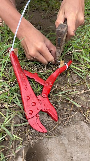 amazing wild snack trap ever 2026 | Dr. Ziegler Monster