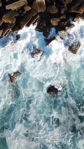 DÉCOUVREZ le CHAMP MAGNÉTIQUE de la Terre ! 🌍 #Shorts