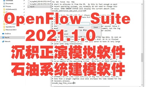OpenFlow Suite 2021.1.0 沉积正演模拟软件石油系统建模软件CougarFlow敏感性和风险分析