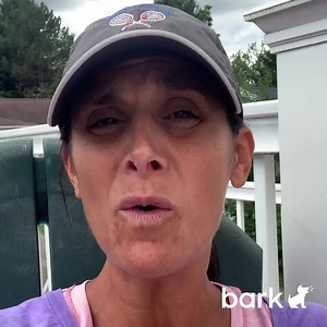 👋 PARENTS: Bark is here to help keep your kid safe online. Start your FREE trial today! | Bark - Parental Controls