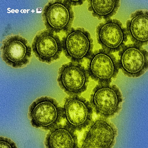 Billions of viruses are falling around you from the sky each day. Here’s why... | Seeker Media