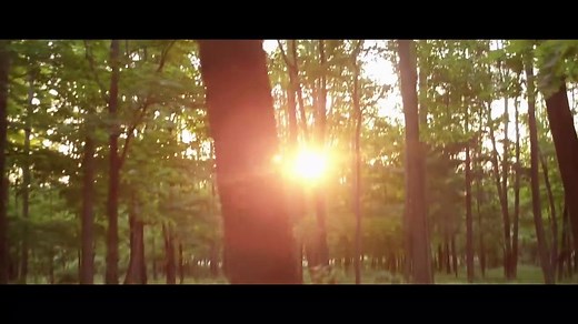 Sonic the Hedgehog Fan Film | movie | 2013 | Official Trailer