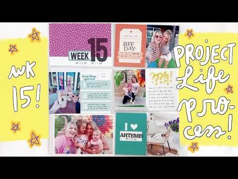 Project Life Process 2026- Week 15