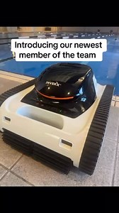 1.3K views · 19 reactions |  Meet “Pingu” — Our Newest Team Member...