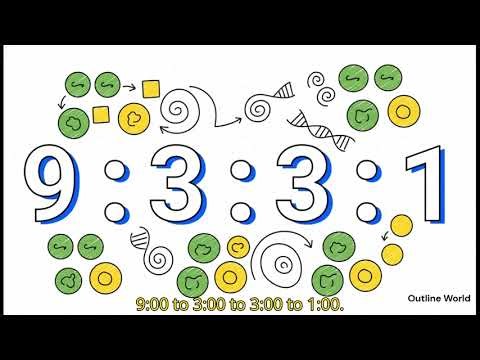 Dihybrid Cross Explained Step by Step | Gregor Mendel | Beginner-friendly ✔