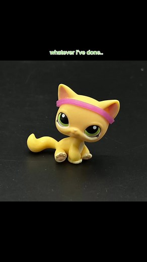 she’s finally mine 🥹 — #lps #fyp #littlestpetshop #lpstiktok #lpscollection #lpscollector #lpspopular #lpstok #littlestpetshopcollection #lpscommunity #littlestpetshopcommunity #lps1162 #lpsheadswap #foryoupage #lpslover #lpscustom