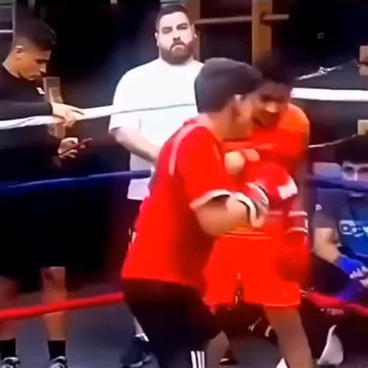 HELL2U Presents A Decent Lvl Goku Edit [Goku The Warrior Of Earth And Protector. The True Sayain] #songoku #goku #dragonball #dragonballsuper #gokuedit