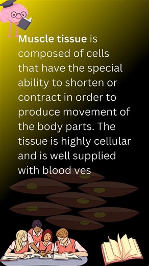 Muscle tissue|| muscle tissue definition #muscletissue #muscle #tissue #biology #youtubeshorts