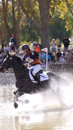 35 reactions | Our FFE 5*L riders have completed XC and are gearing up for showjumping at @adleqfest this afternoon! 朗 Let’s go @jeffree_eventing & @hazel_shannon!  : @ashmorton_creative #flexiblefitequestrian #equestrian #eventing #showjumping #dressage #horsesofinstagram #bridles #equestrianlife | Flexible Fit Equestrian | Facebook