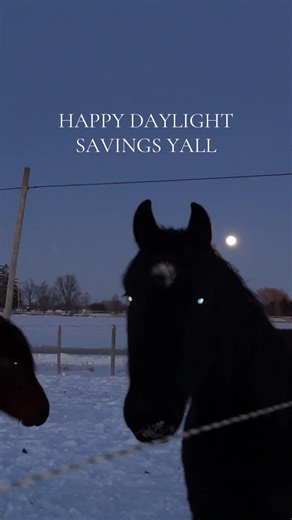 Here’s to 5PM being BRIGHT!!!!! #farm #smithville #niagara #hamilton #toronto