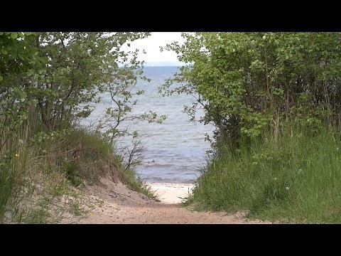 Groß Schwansee Natural Beach