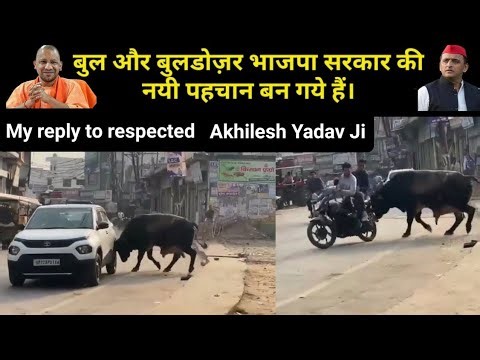 Drive That Car and Hit the Bull: Insane Challenge Explained! ‪@RTAKGAMER‬