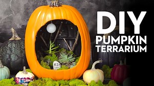 5.6K views · 25 reactions | Step your pumpkin game up this Halloween with this spooky pumpkin graveyard diorama! | Good Housekeeping | Facebook