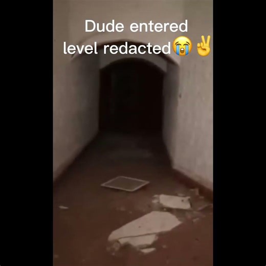 How did bro get into level redacted😭🙏 | Roblox backrooms redacted