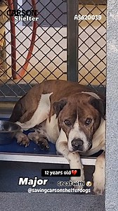 27K views · 2.5K reactions |  Rescued  A5620039 ✰ MAJOR -5/26/24-...