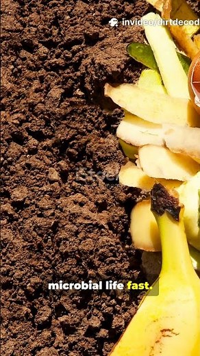 Why Gardeners Are Pouring Milk Into Their Compost It’s Not Crazy