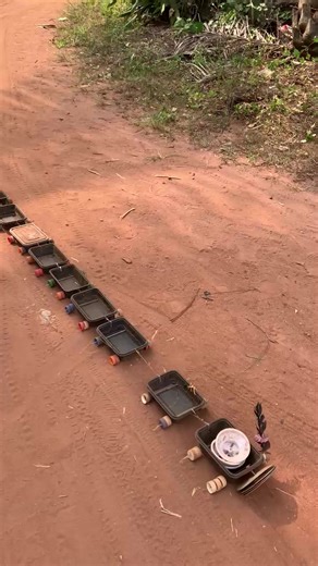 Exploring the Viral Culture of Omo 20GM