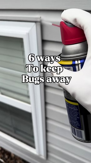 6 Effective Ways to Keep Bugs Away This Summer