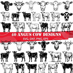 Angus Cow SVG Bundle, Angus Cow Dxf, Angus Cow Png, Angus Cow Vector, Angus Cow Outline, Angus Cow Clipart, Beef Cow Svg, Cattle Rancher - Etsy