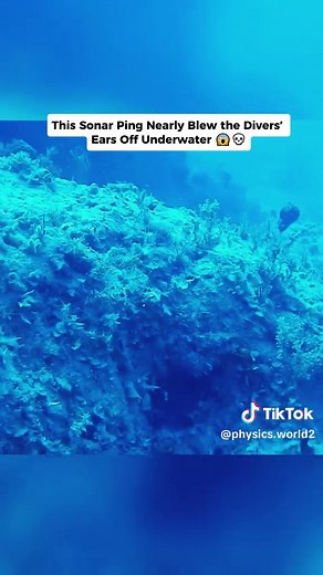 Underwater sound is insanely powerful. A single sonar ping from a navy ship can reach over 200 decibels — that’s loud enough to shake your organs. In water, sound doesn’t fade like in air… it travels fast, and it hits everything in its path. Some whales literally die or beach themselves after hearing it. Now imagine a human diver too close to that sound… Pressure waves, internal bleeding, even lung rupture — all possible. So yeah, that “ping” sound in movies? In real life… it could be your last 