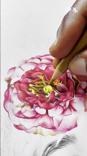 @percymad demonstrates how the Polychromos Portrait Set helps him create striking portrait.