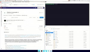 PlatformCommander: Installation process (screen cast)