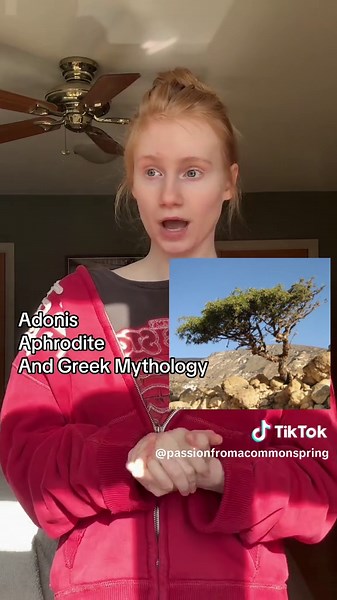 Adonis and Aphrodite: The Myth of the Anemone