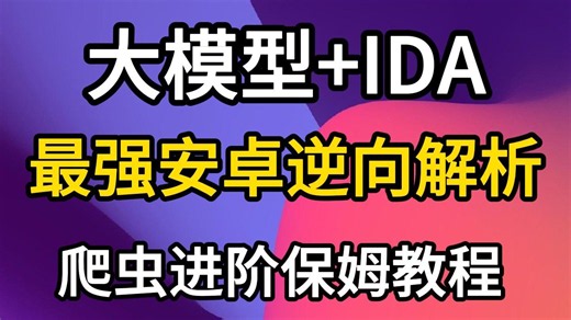 全网最新超强IDA MCP大模型，AI自动做安卓so算法逆向分析保姆级教程，零基础学习爬虫入门到进阶必看教程！