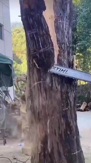 88K views · 2.9K reactions | Namo Buddhaye #buddhateachings #buddhaquotes #buddhatemple #buddhalove #buddhismteachings #buddhism #buddhist #buddhalove #buddhastatue #instareels #gautambuddha #lordbuddha #siddhartagautama #meditation #buddhistmonks #buddhisttemple #buddhistmonk #buddhistmonastery #Indianbuddhism #indianbuddhist | विश्व शांति;करुणामयी बुद्ध | Facebook