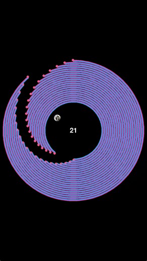 The Ball Escapes: A Cat's Viral Moment