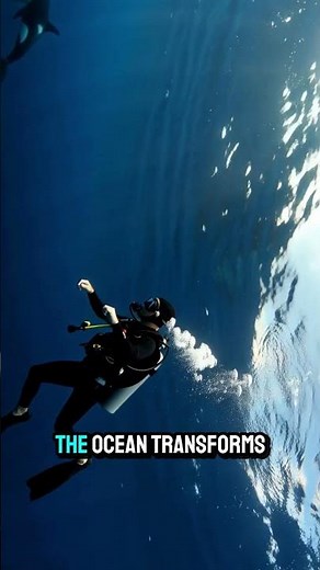 "Majestic Orcas: A Cinematic Journey Into the Deep Ocean (4K Ultra Realistic)"