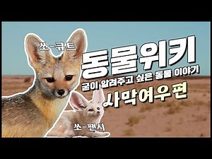 📔동물위키: 굳이 알려주고 싶은 사막여우 이야기🦊