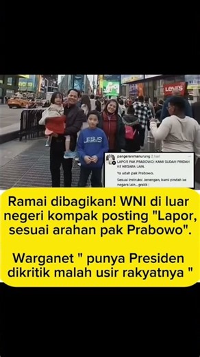 Lapor tros