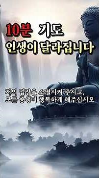 하루 10분만 하면 인생이 바뀌는 기도법｜아침·저녁 10분 기도 습관 | 불교명상 | 부처님말씀 | 도반의쉼터 #Shorts #명언 #자기수행