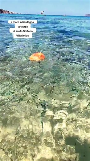 ⛱️😍Spiaggia di Santo Stefano 🐟🐠Occhiate a Villasimius 🌊 🎥👉@Efisio Atzeni. . . . 😍 S𝗲 𝘃𝗶 𝗽𝗶𝗮𝗰𝗲 𝗰𝗶ò 𝗰𝗵𝗲 𝗽𝘂𝗯𝗯𝗹𝗶𝗰𝗵𝗶𝗮𝗺𝗼, 𝗽𝗲𝗿 𝗳𝗮𝘃𝗼𝗿𝗲 𝗺𝗲𝘁𝘁𝗲𝘁𝗲 "𝗠𝗶 𝗣𝗶𝗮𝗰𝗲" 𝗲 𝗶𝘀𝗰𝗿𝗶𝘃𝗲𝘁𝗲𝘃𝗶 𝗮𝗹𝗹𝗮 𝗽𝗮𝗴𝗶𝗻𝗮. 𝗚𝗿𝗮𝘇𝗶𝗲! ​👉Sardegna l'isola delle meraviglie . . . #cerdeña #nordsardegna #sardinia #sardegna #italy #italia #cagliari #olbia #sassari #Nuoro #roma #sardinie #sardinian #germany #France #milano #sea #beach #life #natgeo #colors #sudsardegna #Vi
