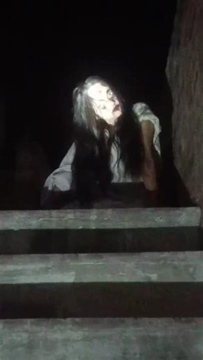 29 मार्च 2026