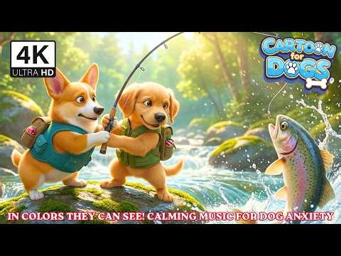 Golden & Corgi’s Fishing Adventure 🌈🐶 Cartoon for Dogs to Watch All Day, In Colors they can see!