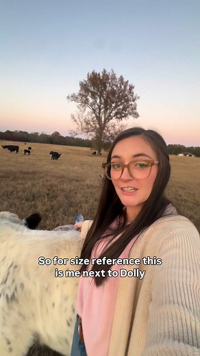 Cute isn’t enough. Know your genetics. Know your breeder. Know the chondro gene. Want more beginner-friendly mini cow tips? Follow along! 🐮✨ | Dolly’s Pals Mini Cattle Co.