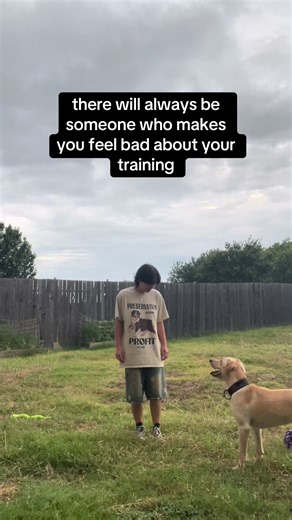 Training Your Labrador Retriever with Positive Focus