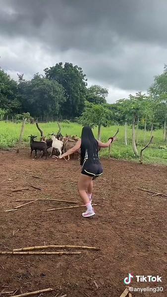 Playing and Herding Goats in a Rustic Landscape