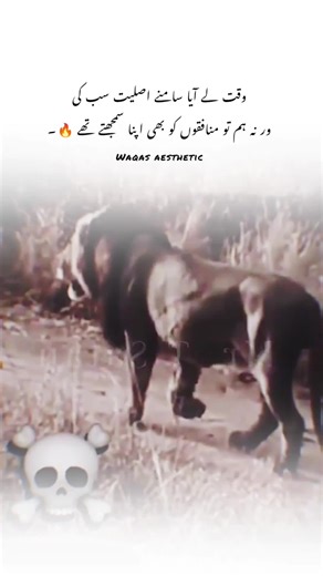 Unlocking Your Unique Attitude for Success