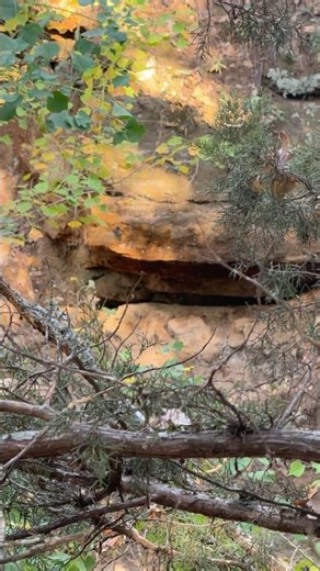 Should I Explore This Cave?