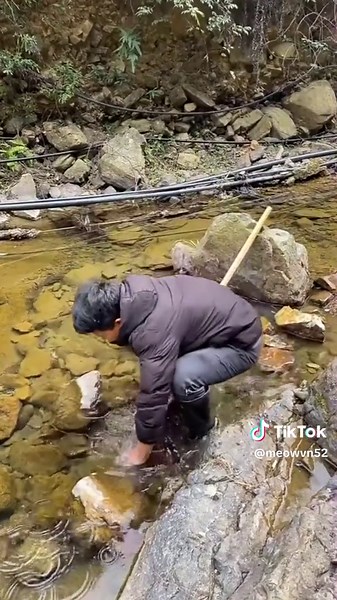Fishing Techniques in a Natural Stream Environment