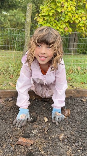 15 reactions | Fall planting session ️龍 • Transplanted lavender...