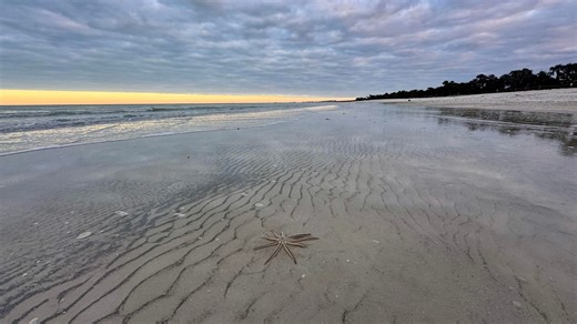 Lots of sea stars and sand dollars this morning. Join Robb for his Saturday morning walk on the mile-long beach at Delnor-Wiggins Pass State Park in North Naples, Florida. Recorded LIVE on Facebook, January 17, 2026. If you enjoy Robb‘s videos and would like to support his efforts, you can send a tip to his personal Venmo or PayPal account using the links below. Thank you and God bless. Venmo (no fees) - https://venmo.com/code?user_id=3298801481678848682. PayPal (small fee on Robb’s end) - http: