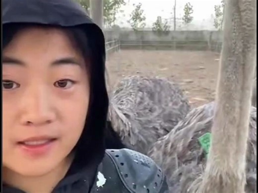 开两年直播了，这个是最炸裂的问题