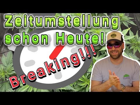 🌸 Cannabis Blütephase starten | Was passiert bei 12/12? 🌿 Photo-Grow erklärt. ‪@BlickwinkelReviews‬