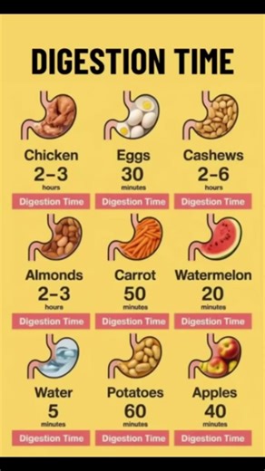 Not all foods digest at the same speed #digestion #nutrition