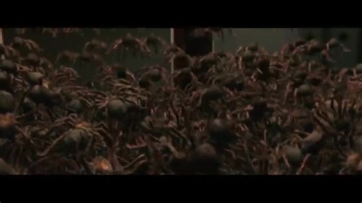 Spiders on a Plane Trailer SD (Deutsch) (2024)