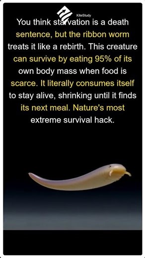 The Worm That Eats Itself | The Worm That Eats Itself